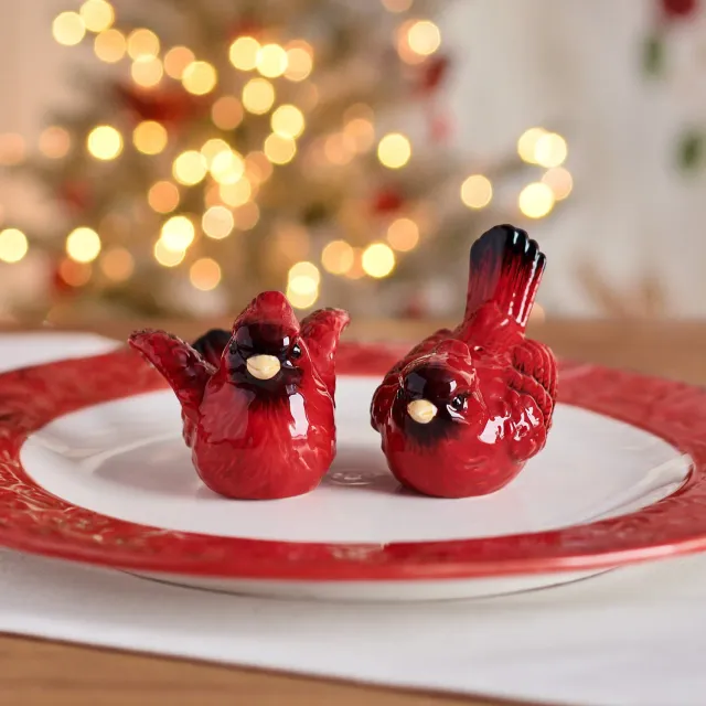 Fitz and Floyd Poinsettia Holiday set sale e pepe cardinali