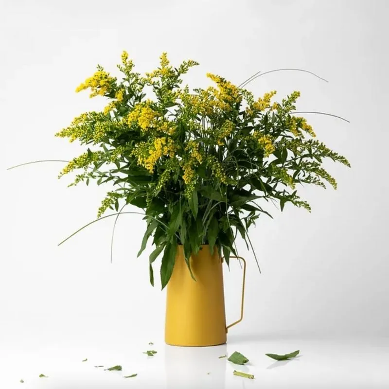 KnIndustrie Diario brocca vaso da tavola in gres