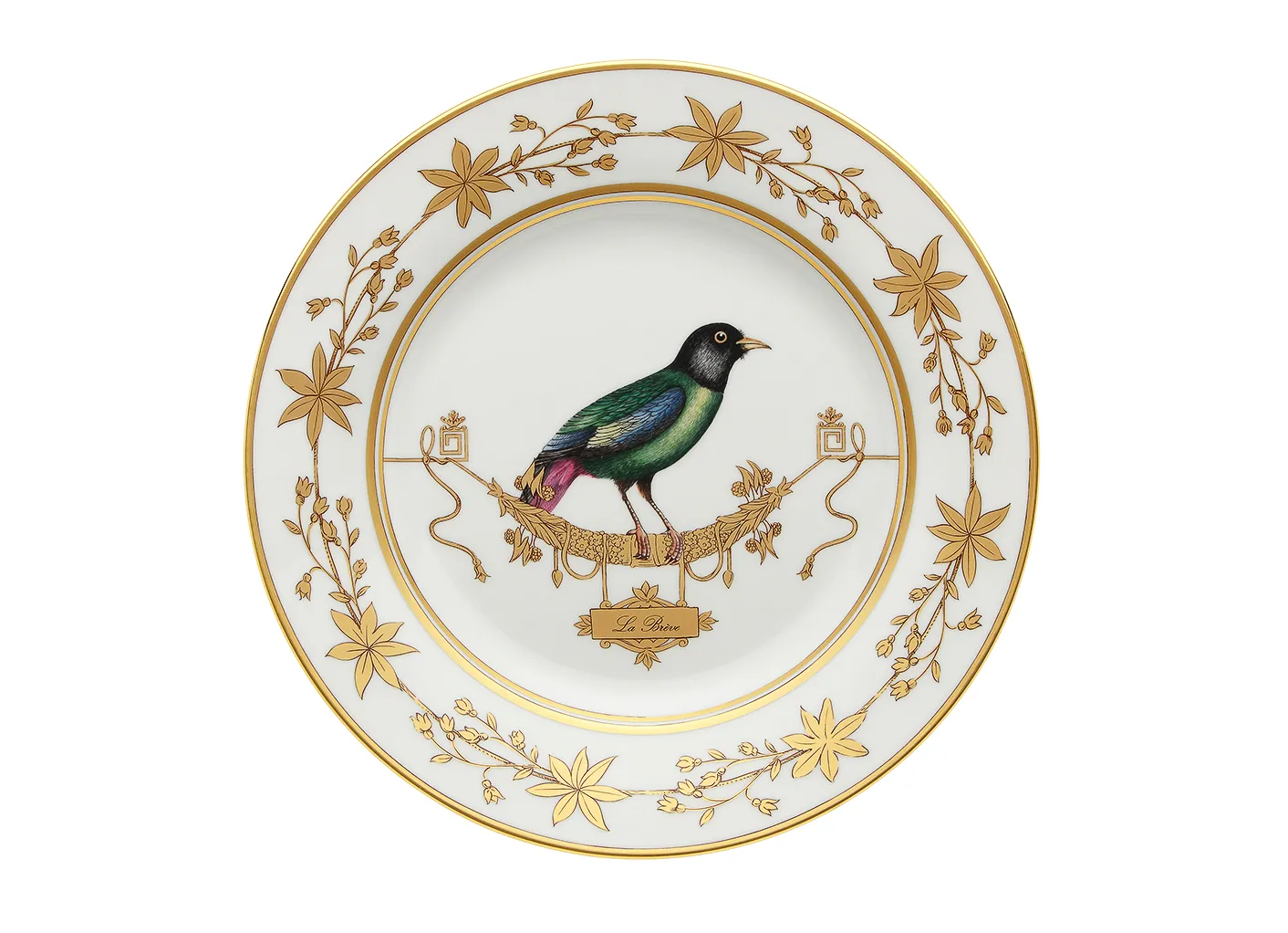 Richard Ginori Volière piatto piano porcellana oro