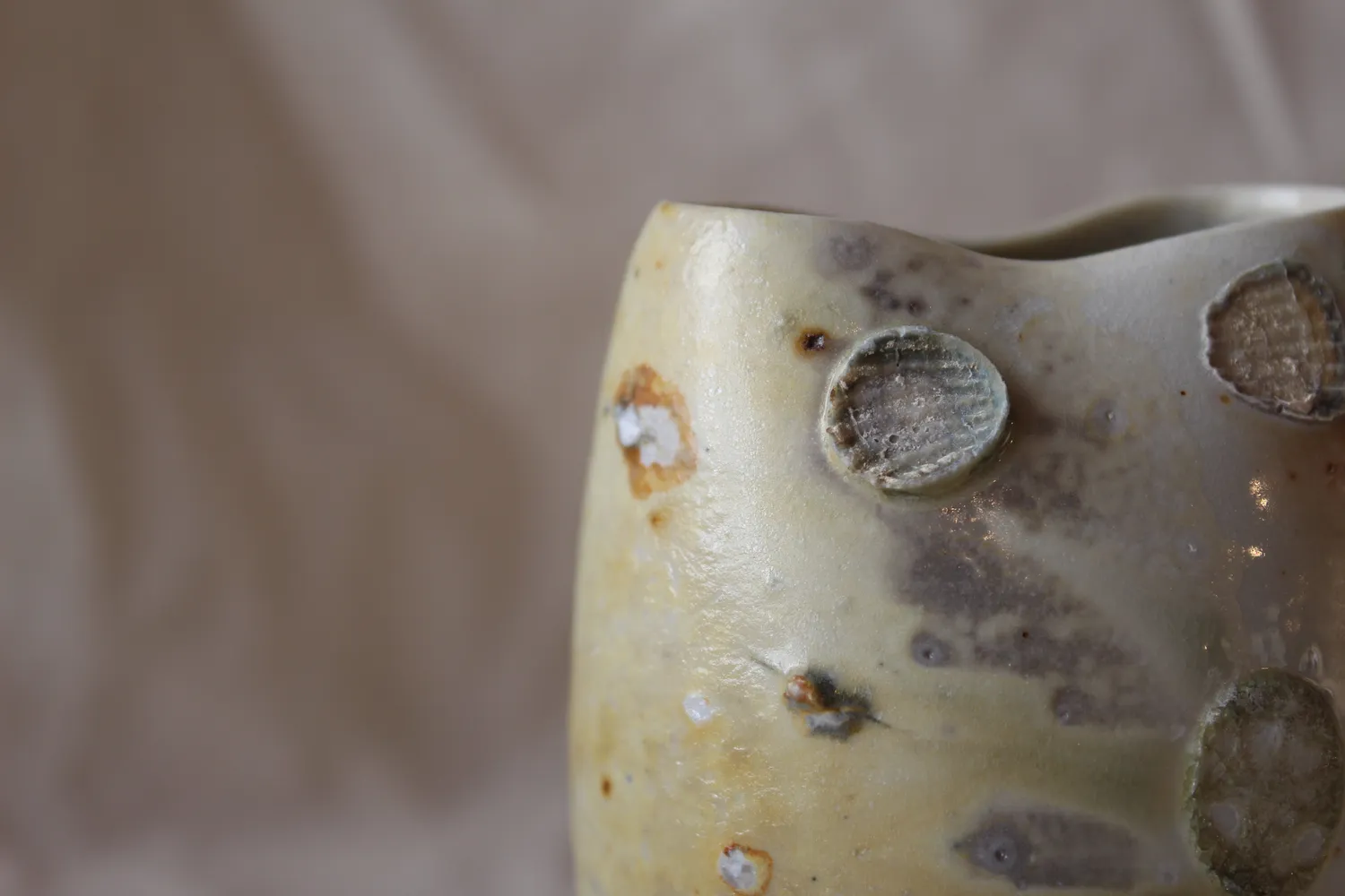 Studio Delta Pottery Uovo di Cenere #1 vaso woodfired porcellana