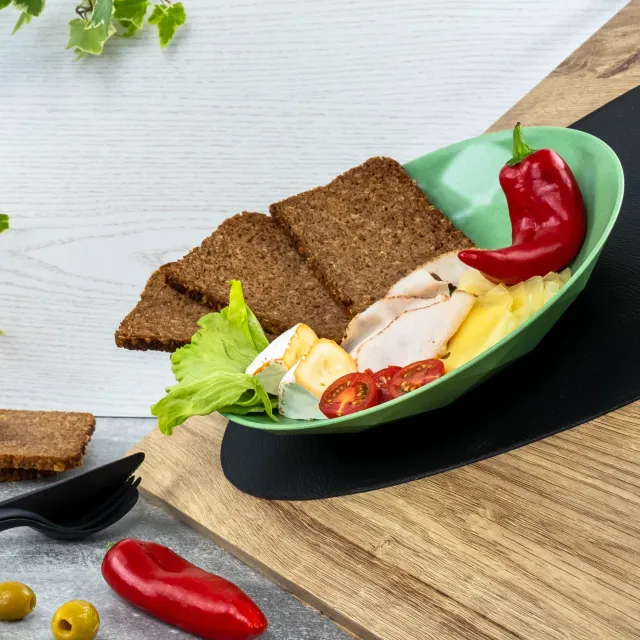 Silwy Piatto Magnetico Verde 24 cm in Plastica Antiscivolo