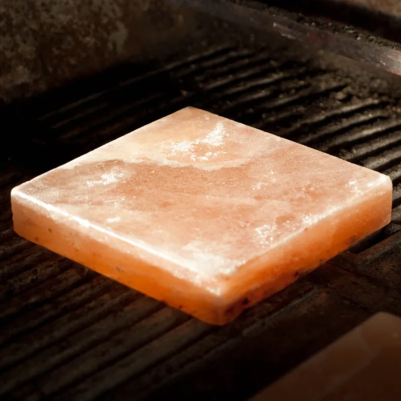 Piastra sale rosa Himalaya cottura e freddo