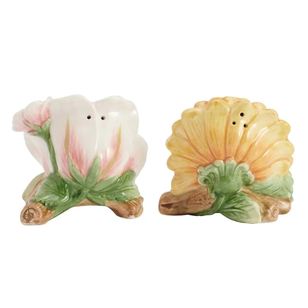 Fitz and Floyd Provence Sunflower set sale e pepe fiori terracotta