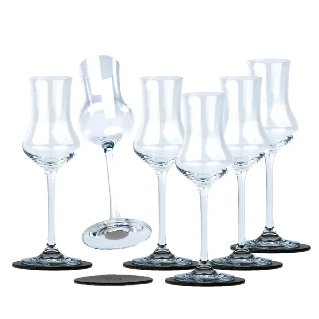 Silwy Liquore bicchierini magnetici cristallo 6 pad