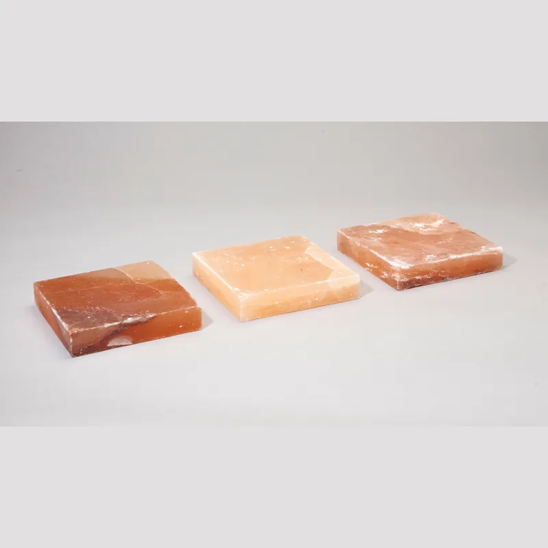 Piastra sale rosa Himalaya cottura e freddo